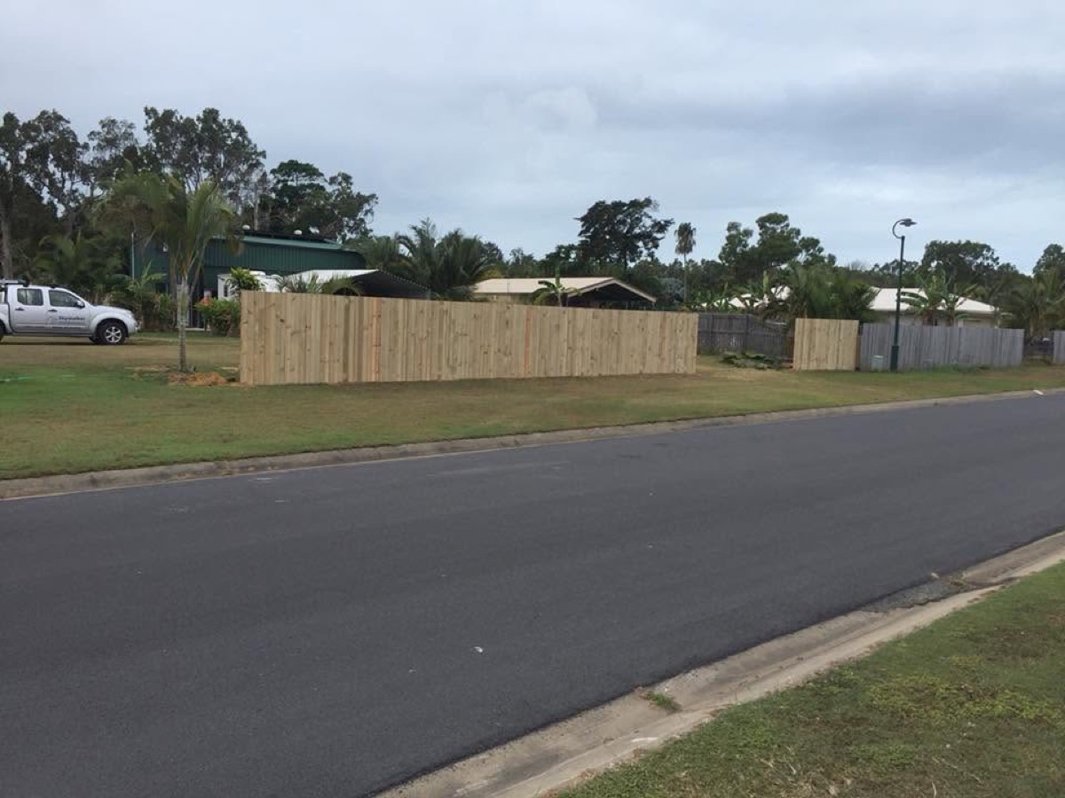 A new timber paling fence along the front of a suburban block lined with palms