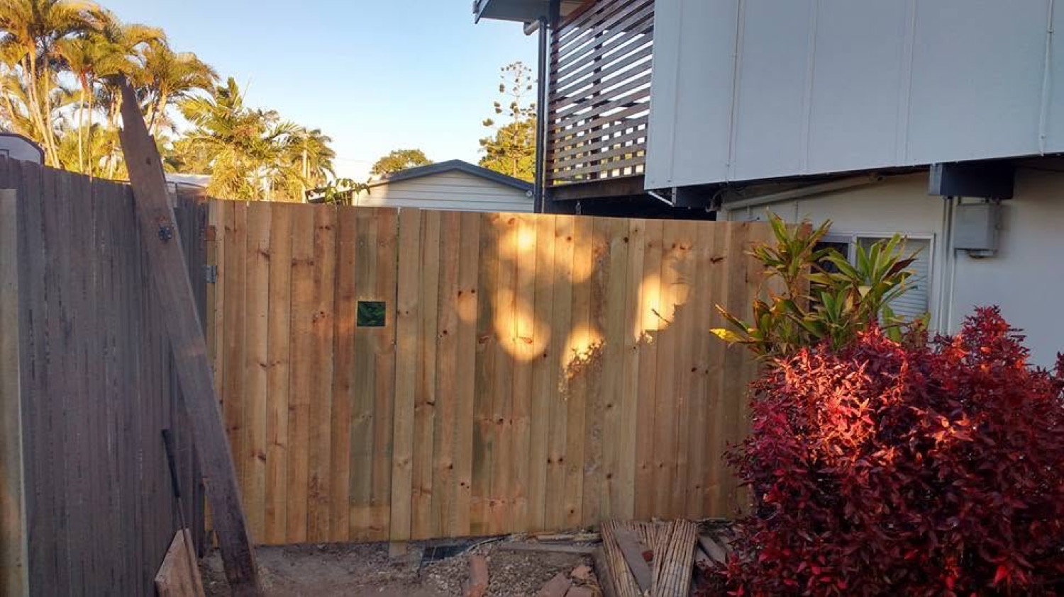 A new timber paling fence beside a garden of crotons